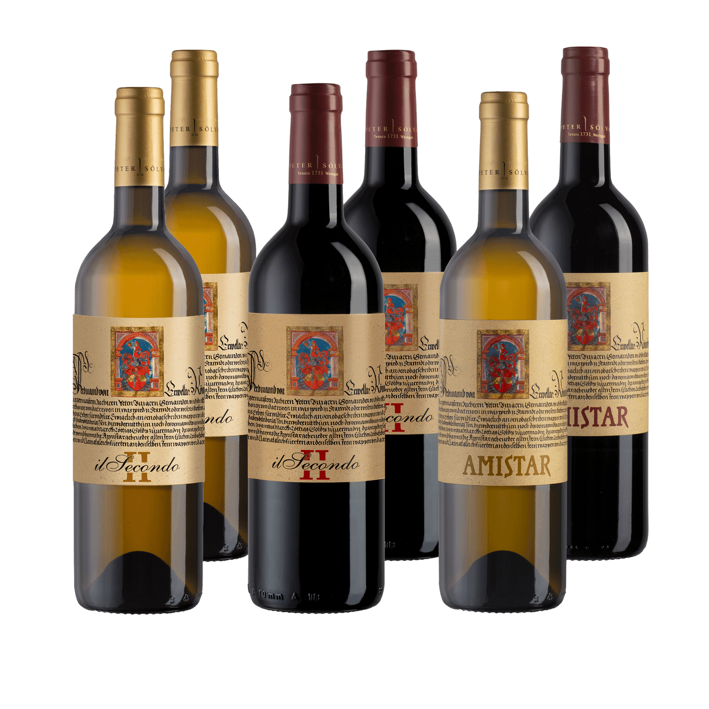 Kennenlernpaket Peter Sölva mit 6 Weinen aus Südtirol