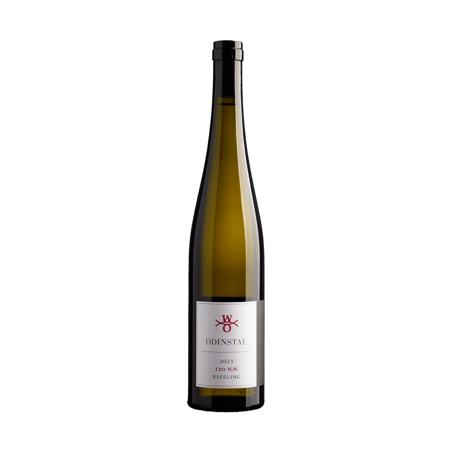 Riesling 120 N.N. 2024 vom Weingut Odinstal in der Pfalz