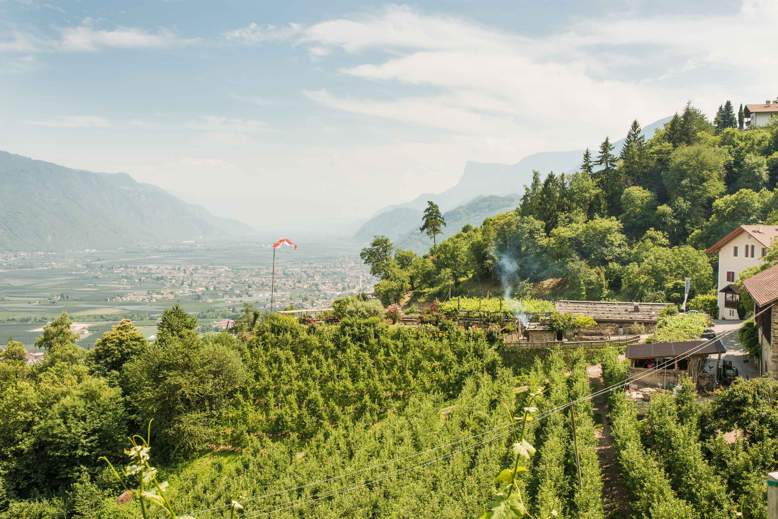 Weingut Haidenhof Tescherms bei Meran in Südtirol