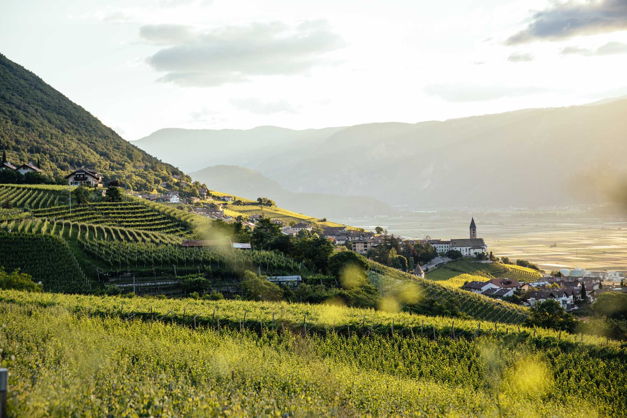 Weinberge im Unterland von Südtirol mit Blick auf Kirche