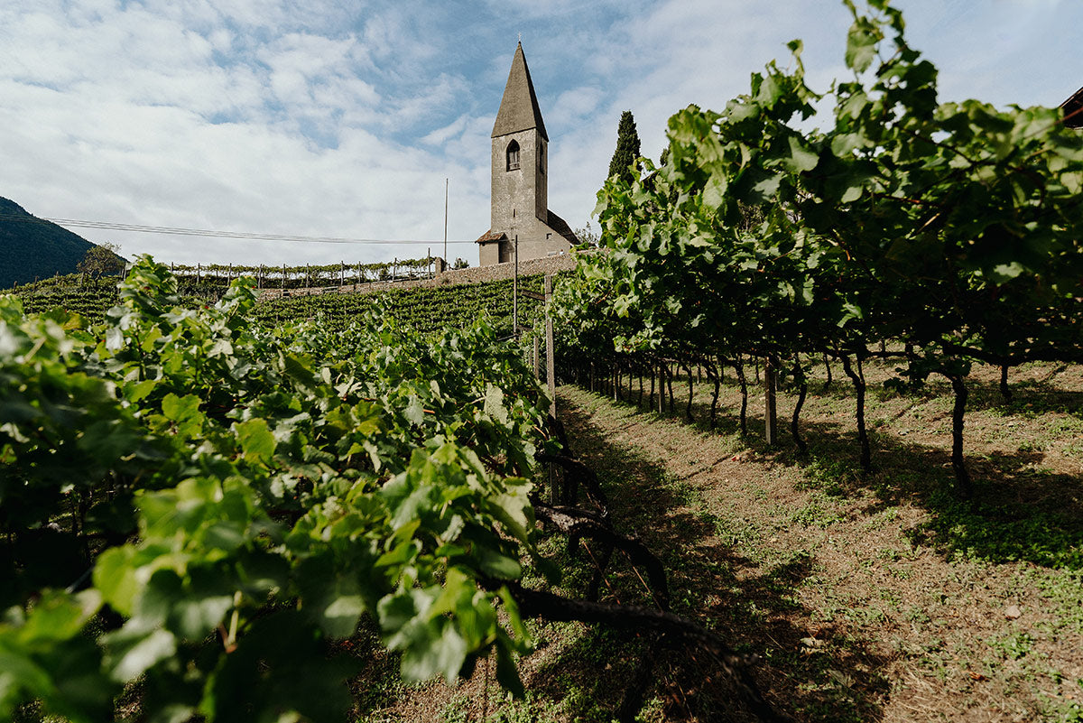 Weinberge mit Kirchlein vom Fliederhof  in St. Magdalena oberhalb von Bozen in Südtirol