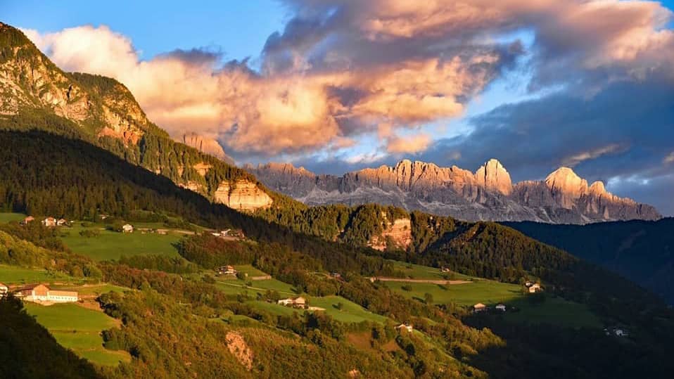 Weinberge des Weingutes Prackfol in Völs am Schlern im Eisacktal Südtirol