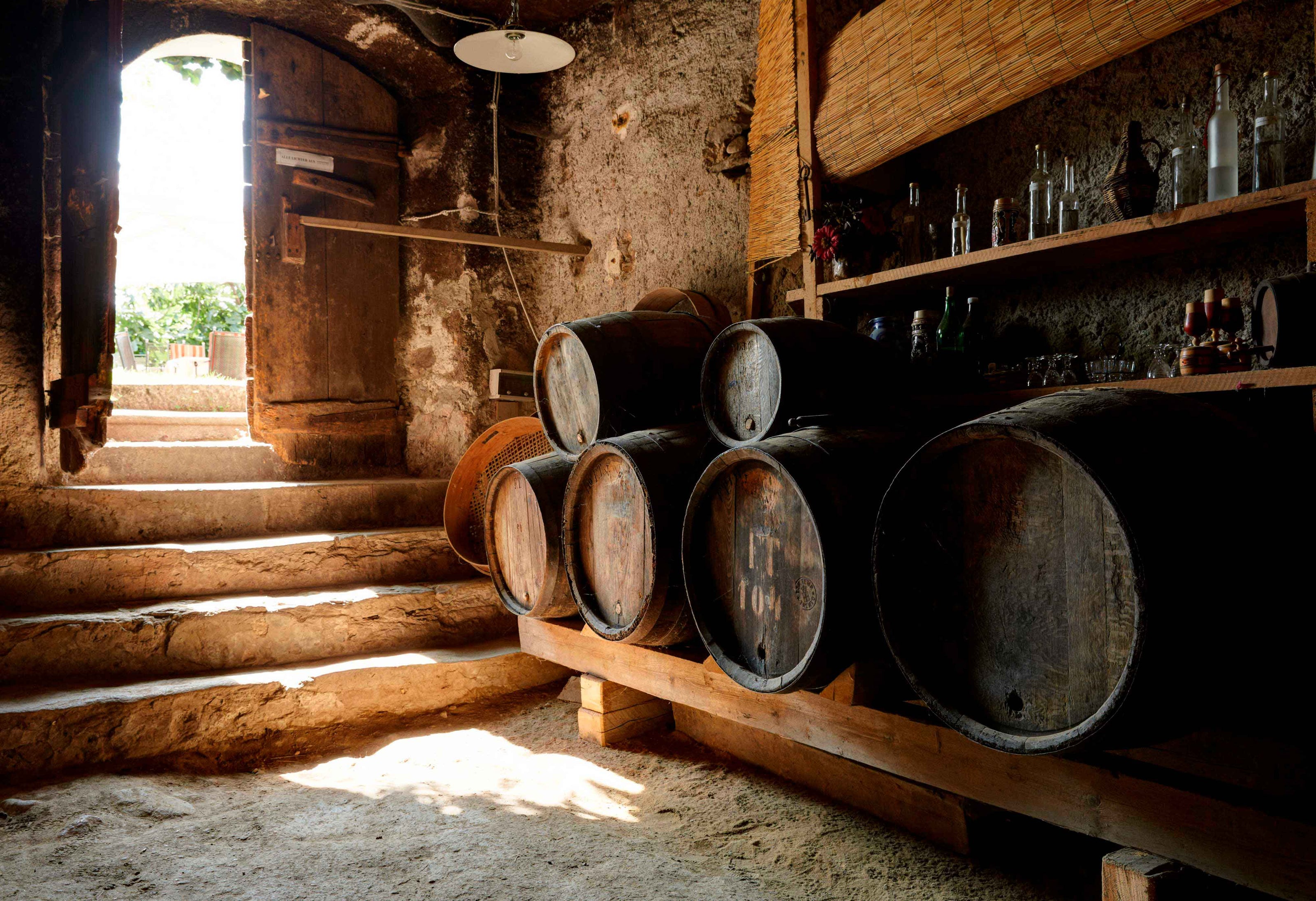 Weingut Schloss Plars in Algund bei Meran in Südtirol Blick in den Weinkeller mit Fass