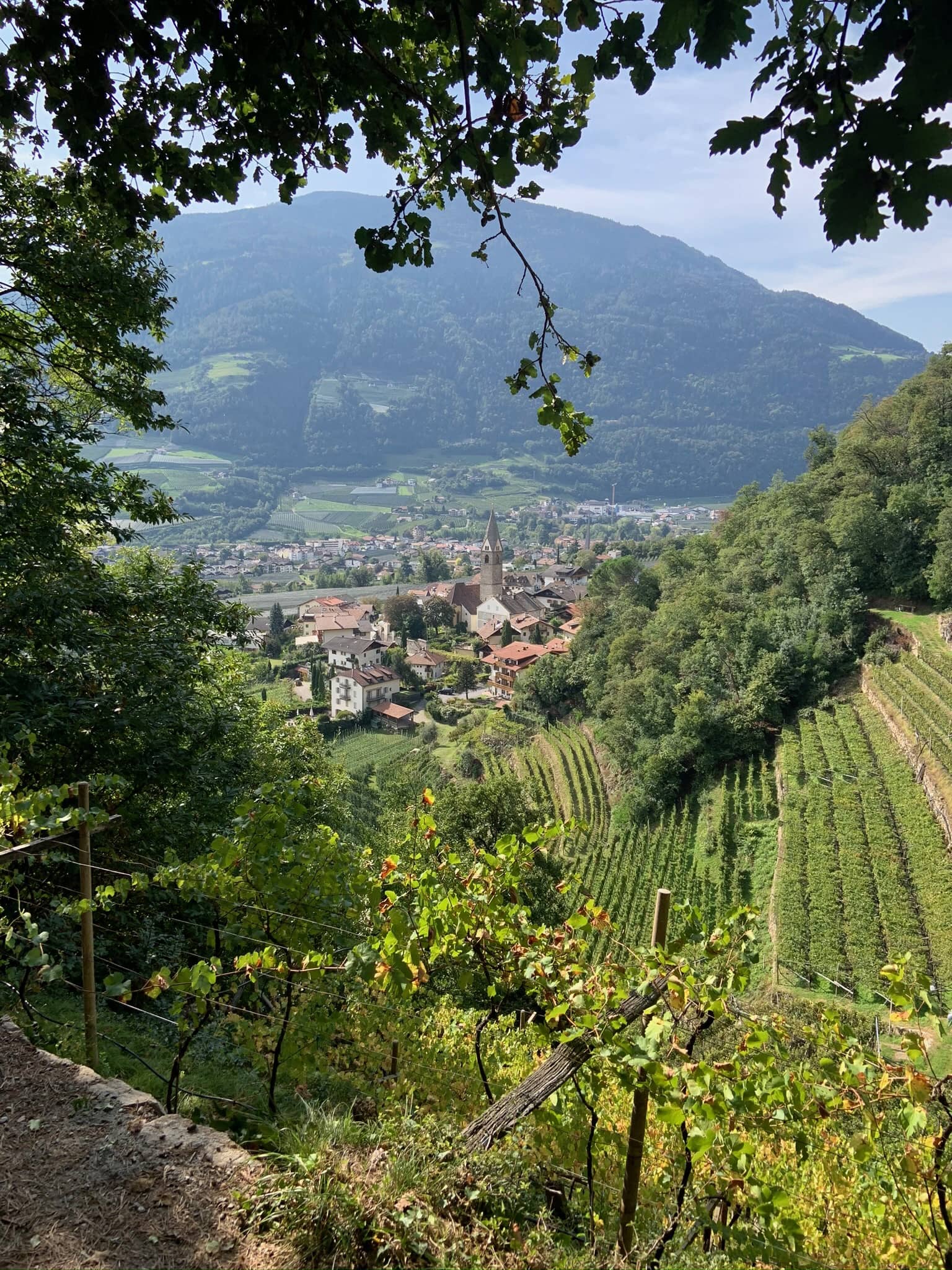 Wein in Meran und Umgebung_Algunder Waalweg mit Blick auf Algund Dorf und Weinberge