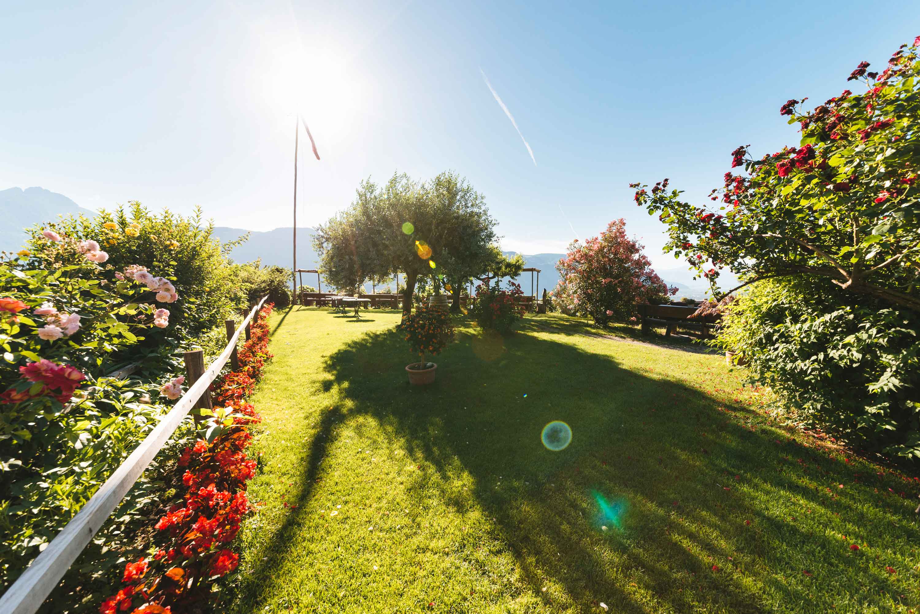 Buschenschank Haidenhof in Tscherms bei Meran Südtirol