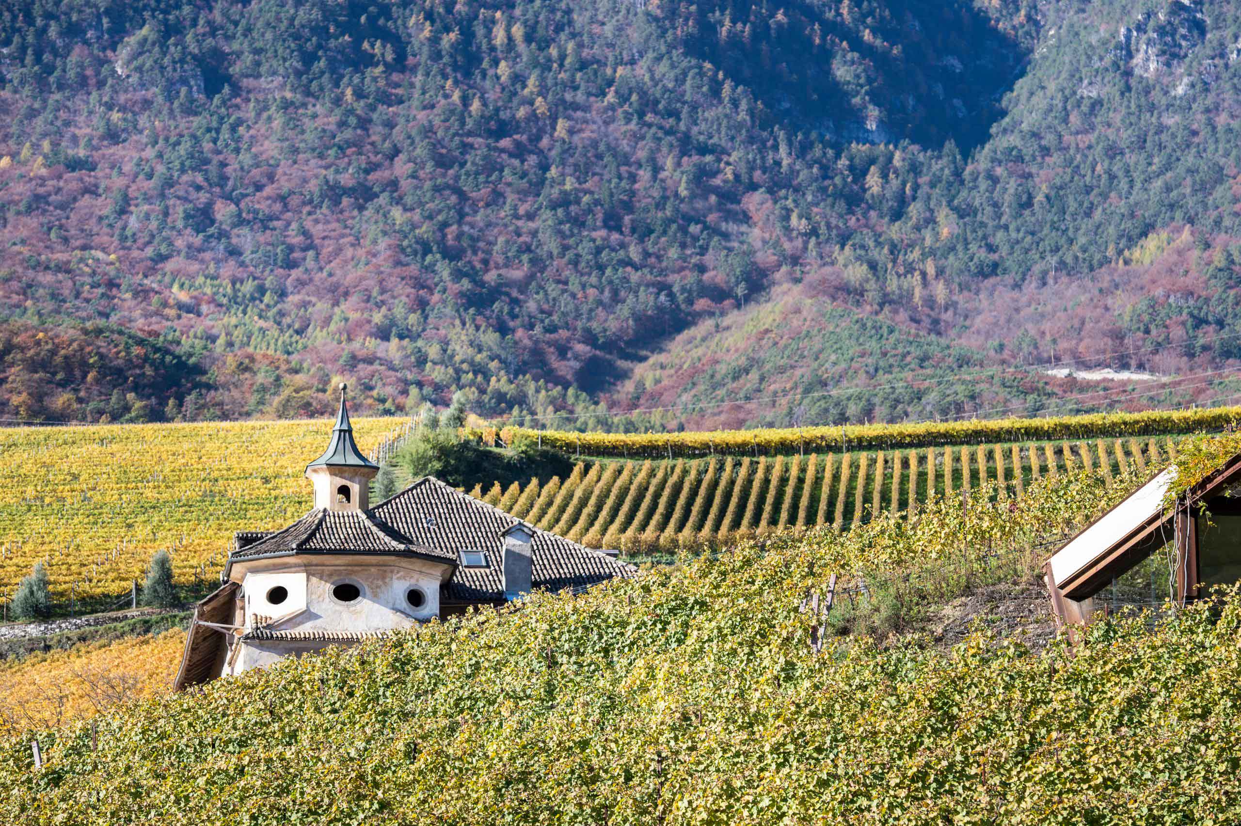 Manincor Weingut – Historisches Gut und Weinberge am Kalterer See