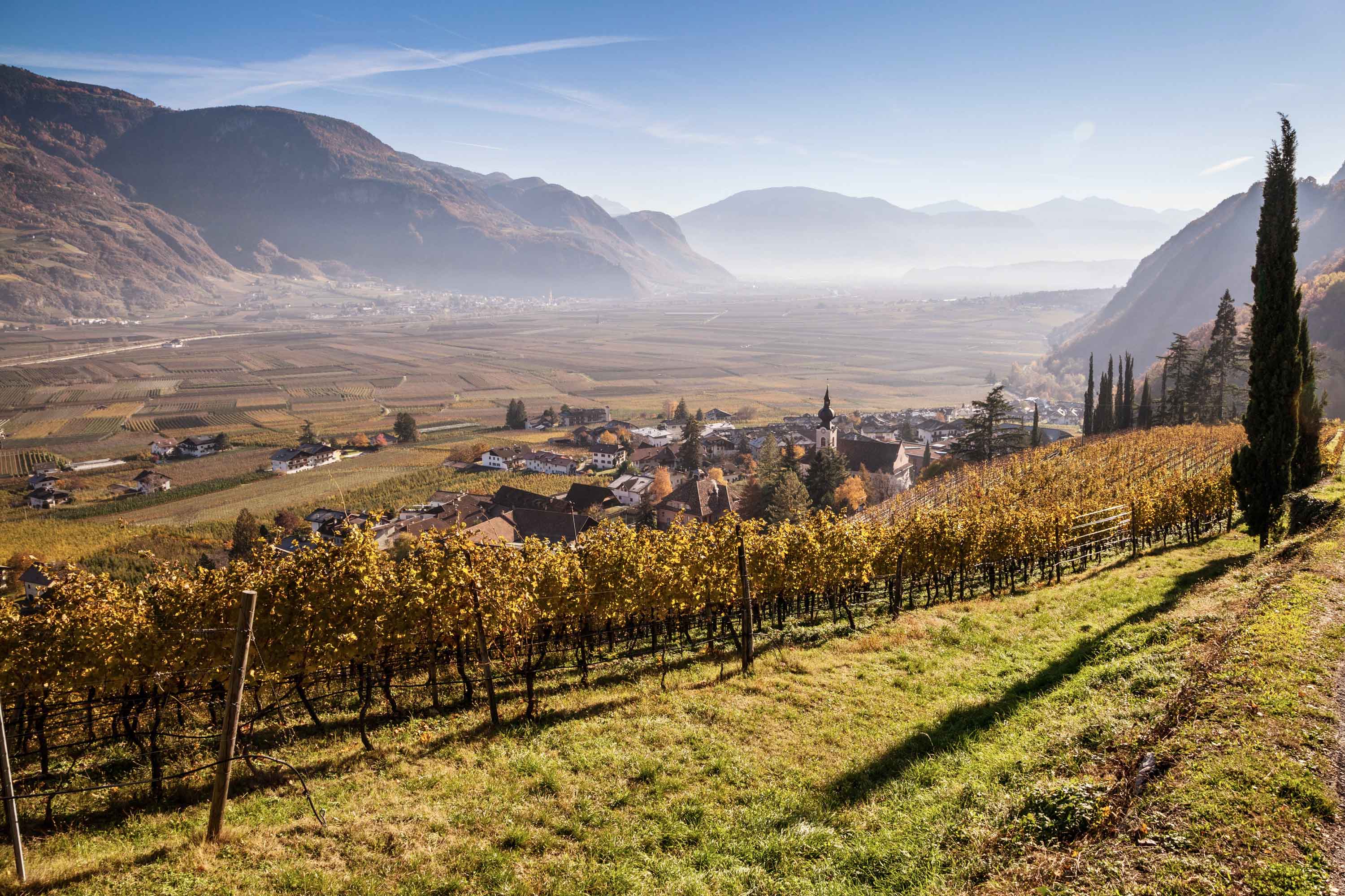 Blick auf Nals Etschtal Südtirol über die sonnigen Weinberge