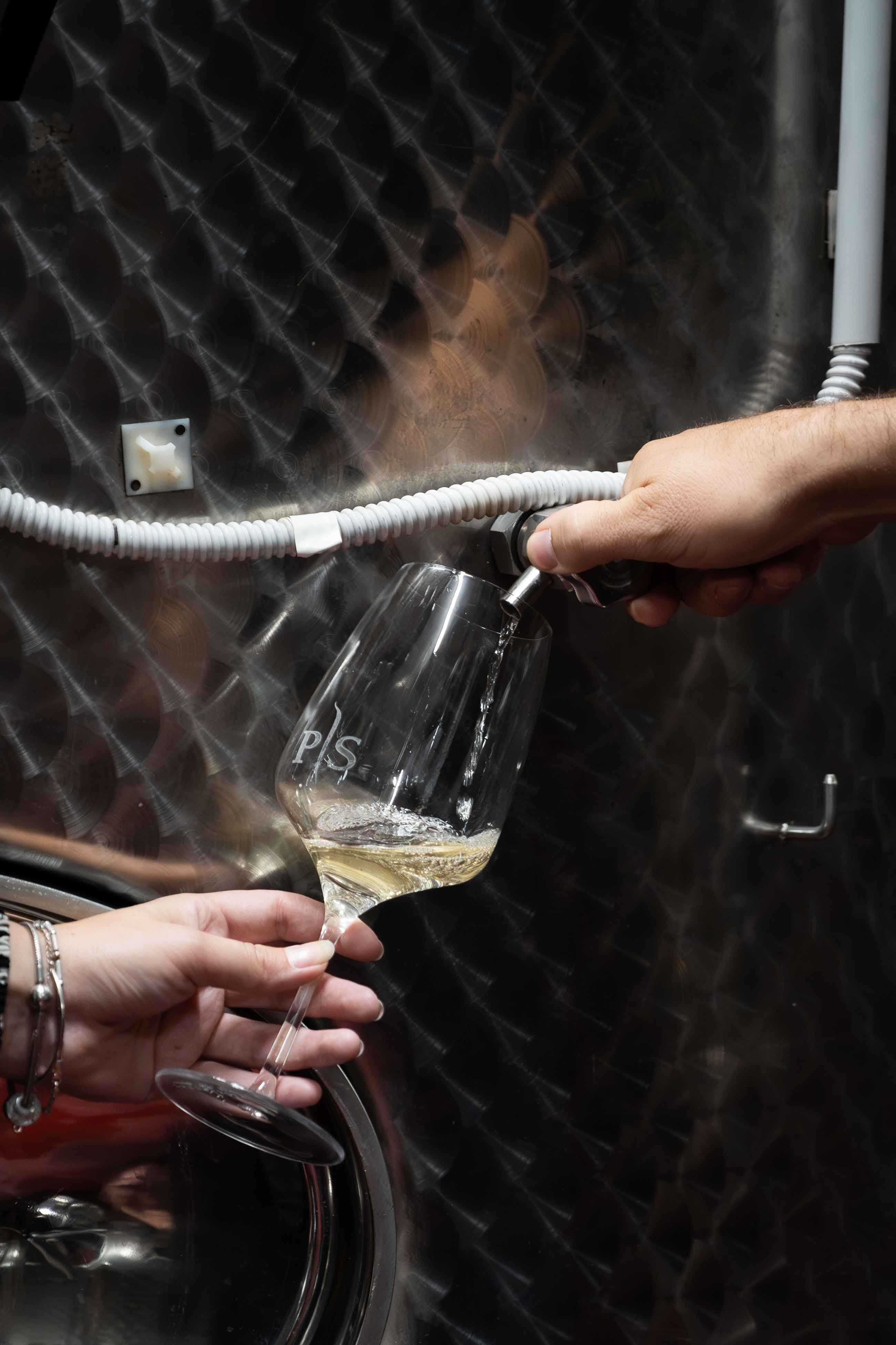 Weingut Peter Sölva - Weinprobe im Weinkeller-Kaltern an der Südtiroler Weinstrasse