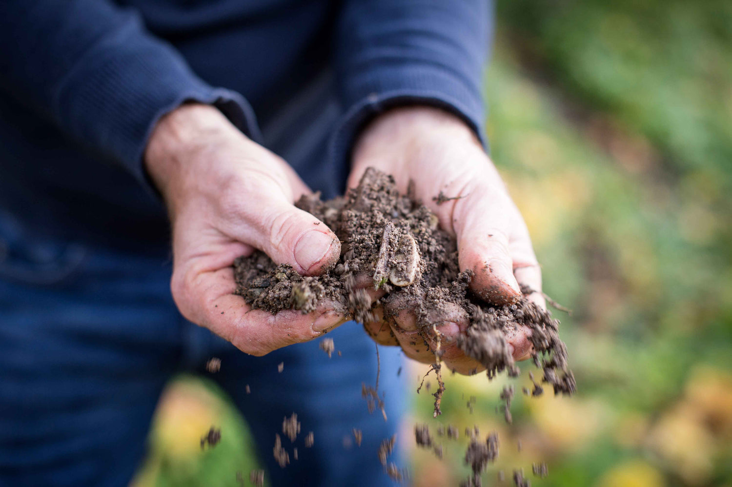 Weinbauer aus Südtirol mit Erde in den Händen