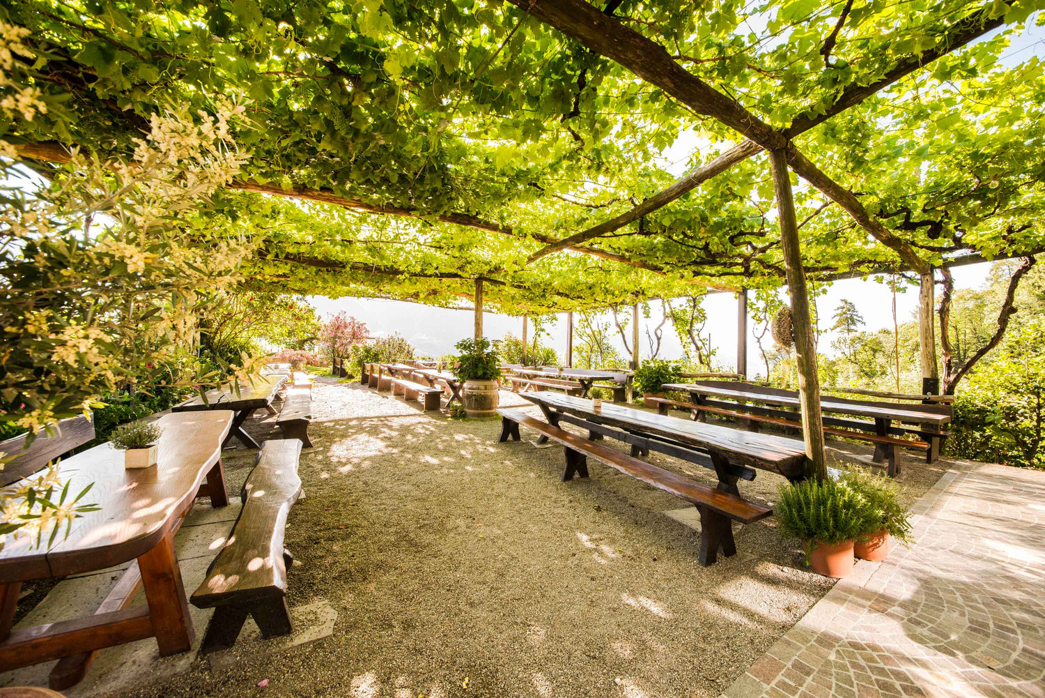 Weingut Haidenhof Tescherms bei Meran in Südtirol