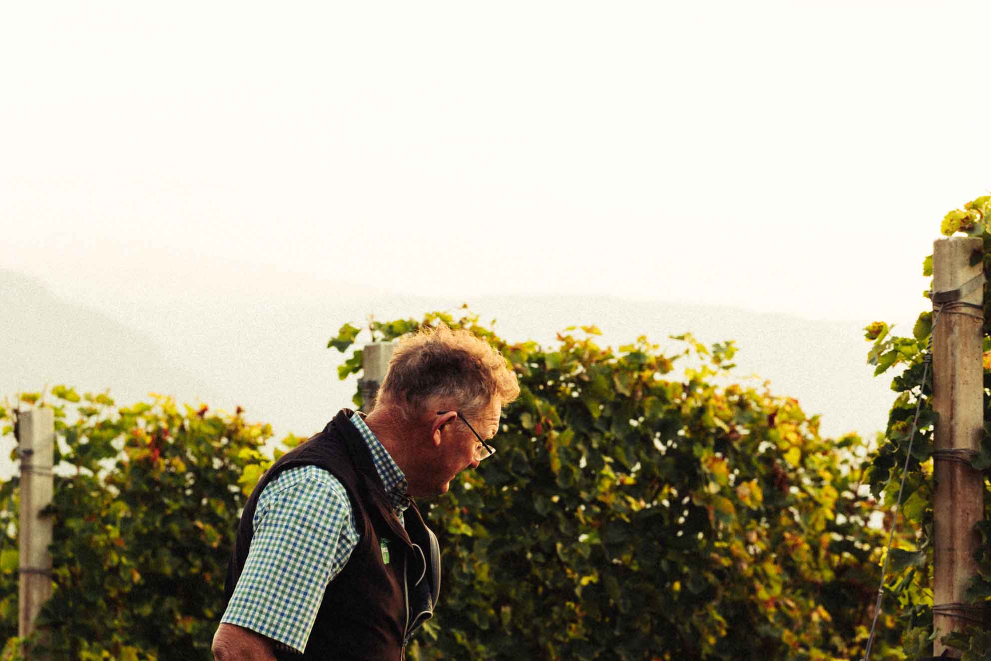 Weingut Ignaz Niedrist in Girlan Südtirol_Winzer Ignaz Niedrist in den Weinbergen