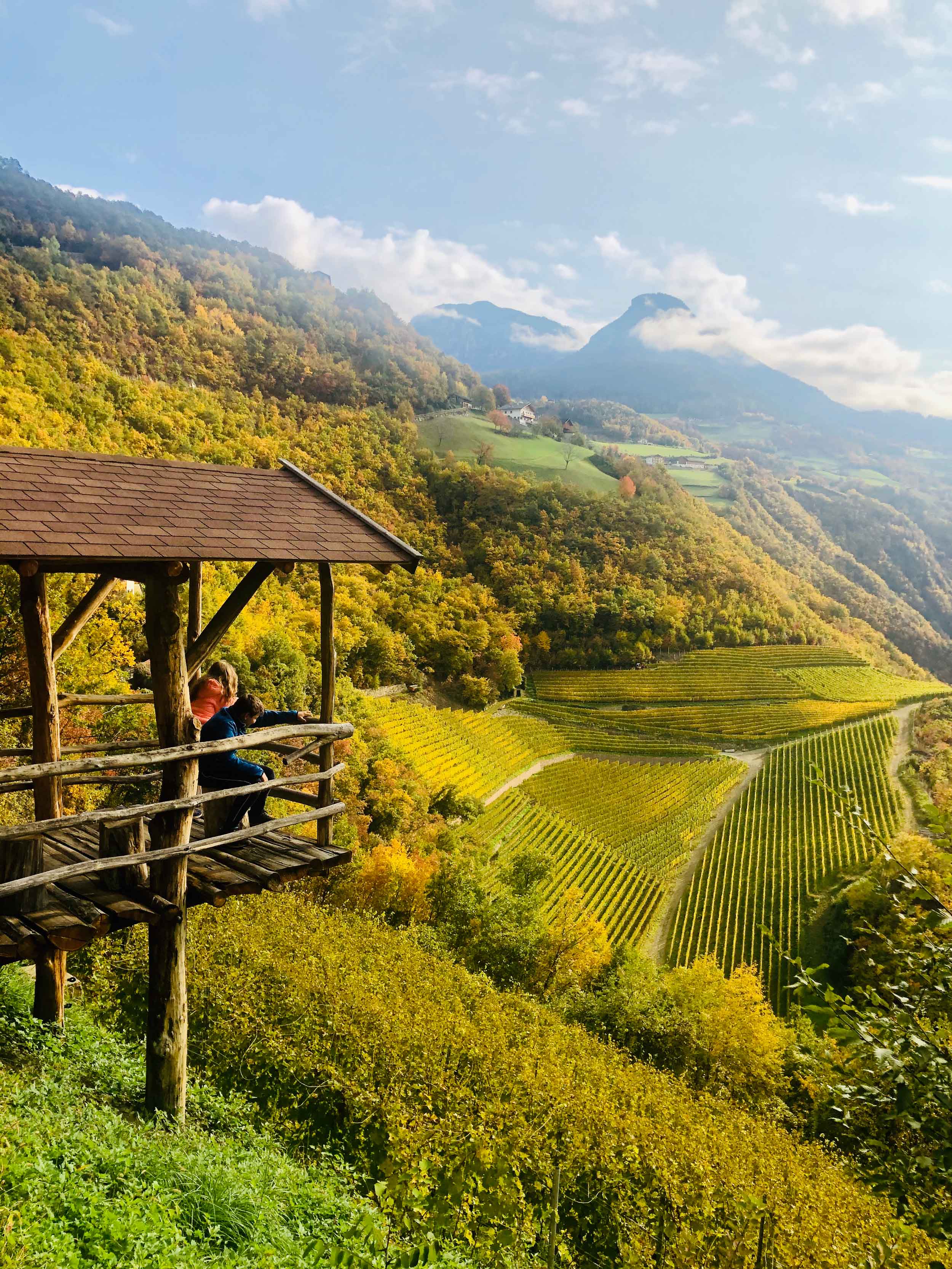 Weingut Prackfol-Patrick Planer-Völs am Schlern im Eisacktal Südtirol