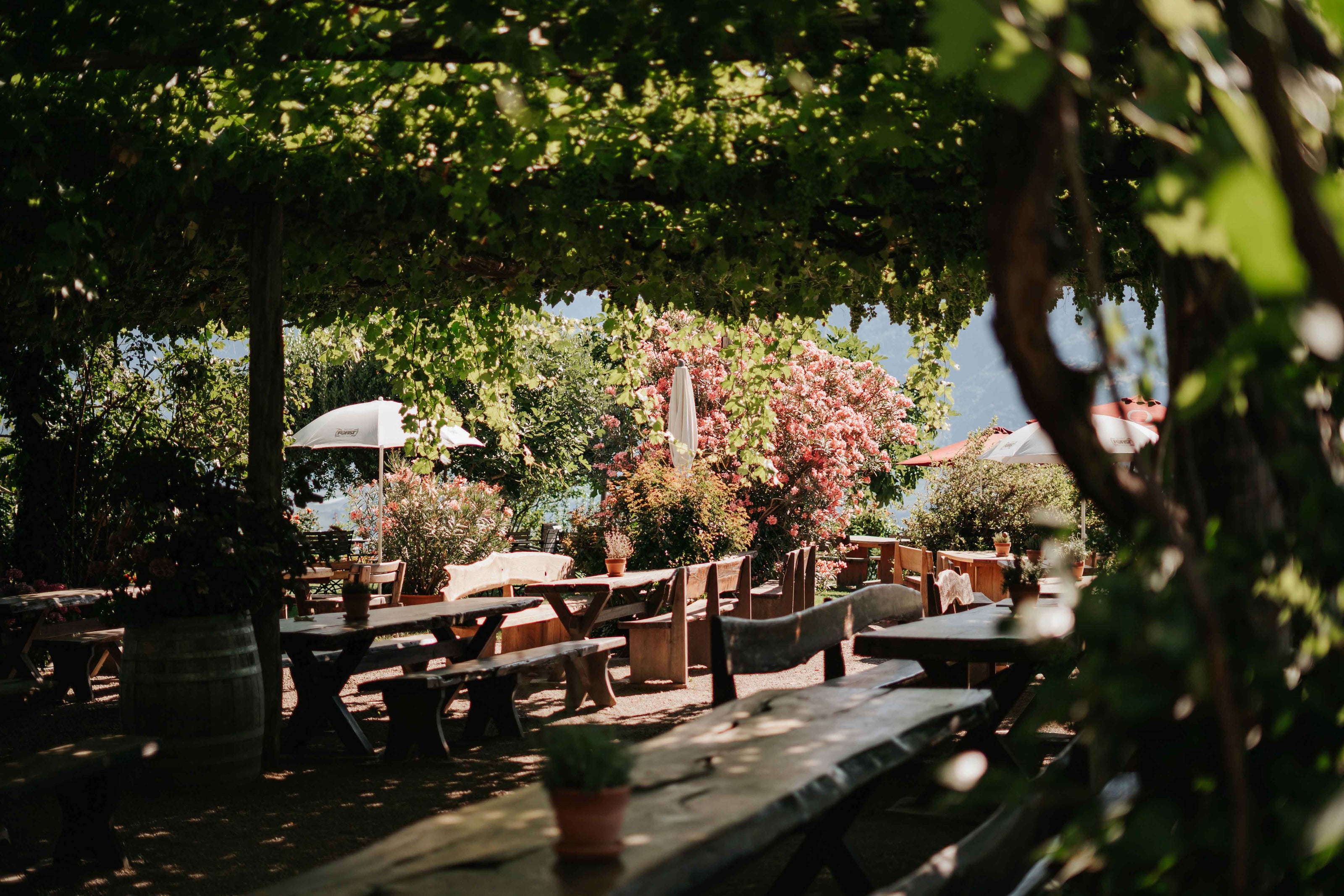 Weingut Haidenhof Tescherms bei Meran in Südtirol