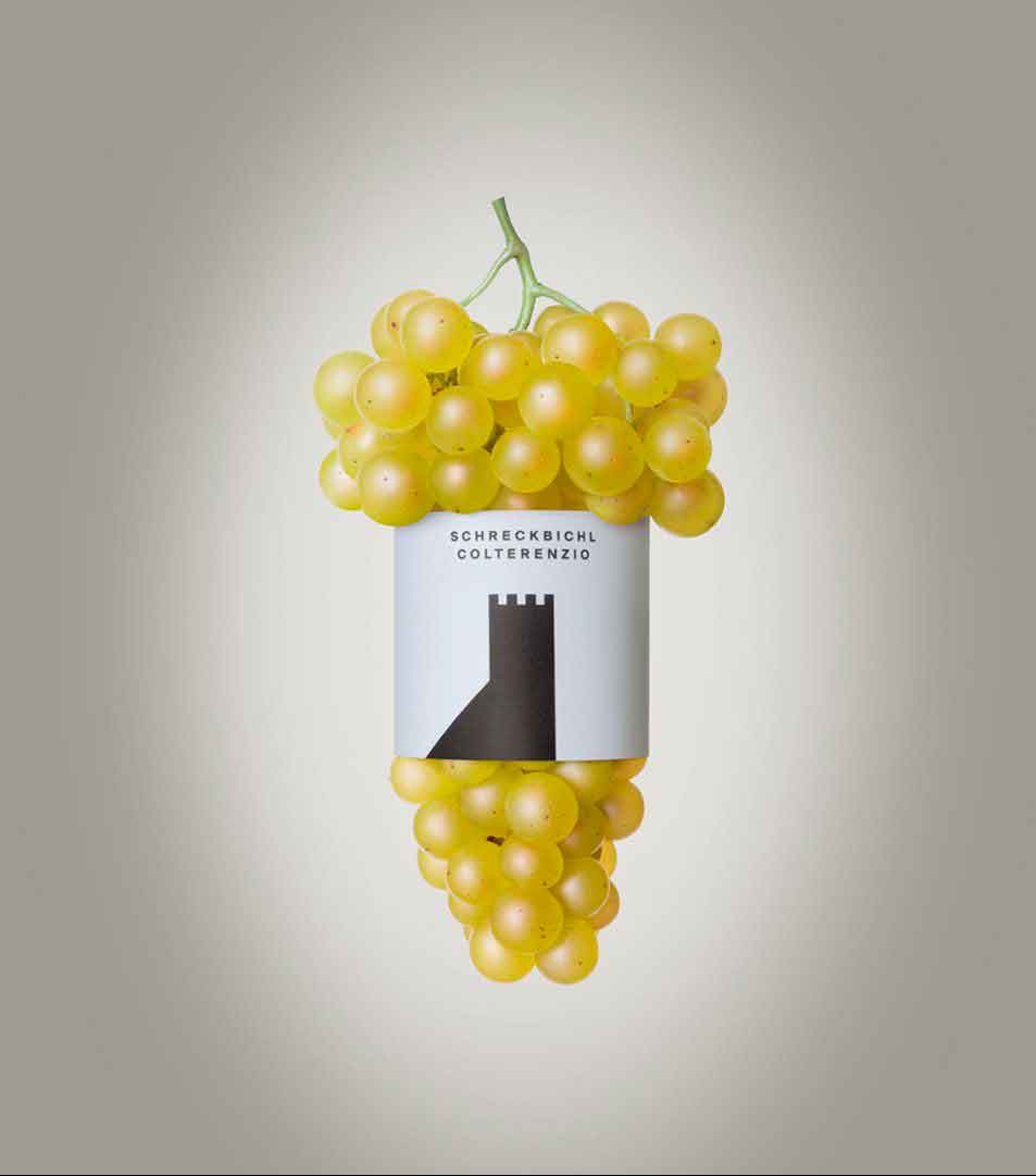 Kellerei Schreckbichl in Girlan in Südtirol neues Bild Weintrauben mit Banderole