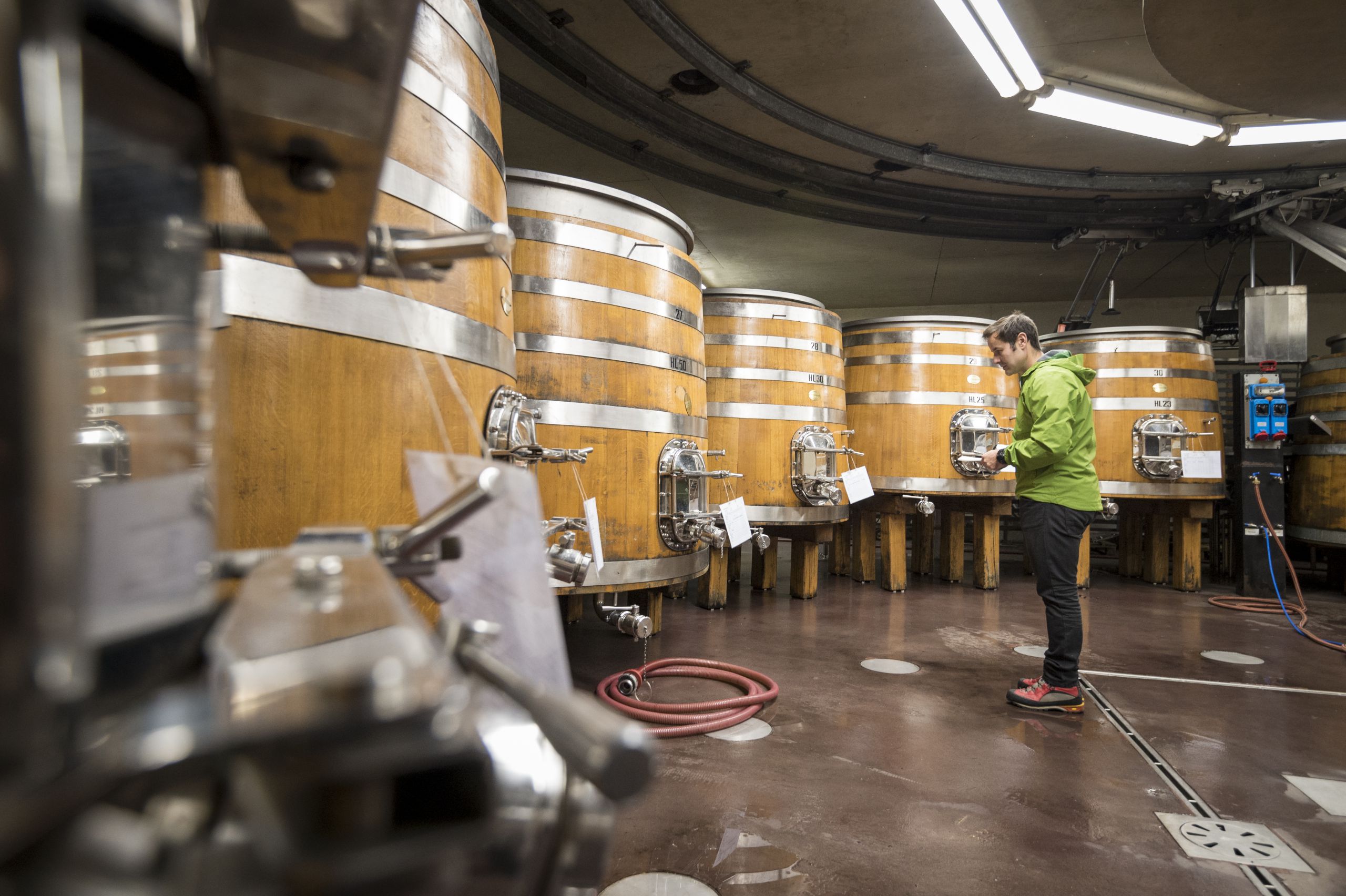 Manincor Weinproduktion – Biodynamischer Weinbau und Kellerarbeit