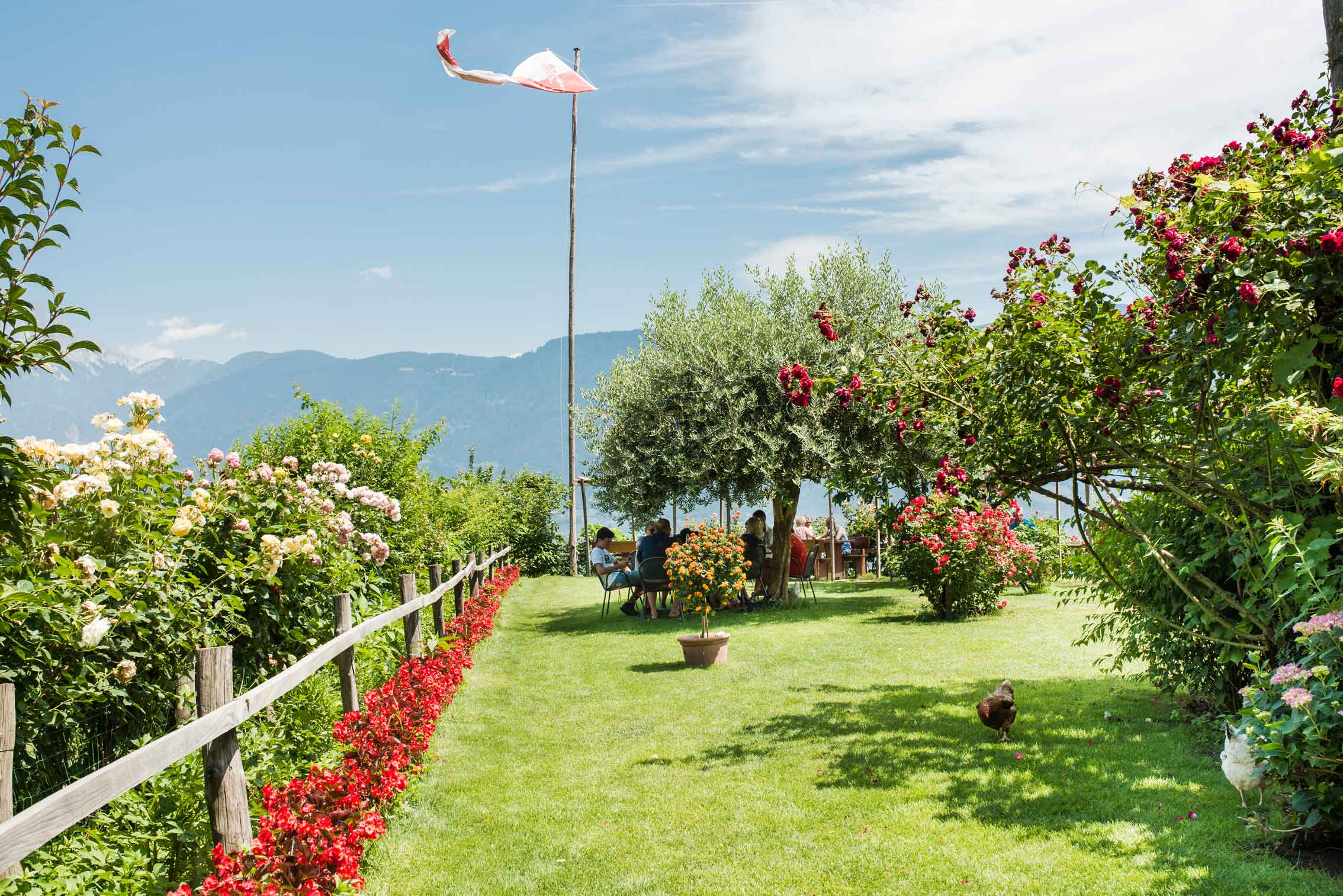 Weingut Haidenhof Tescherms bei Meran in Südtirol