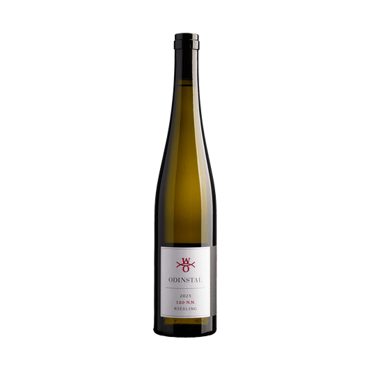 Riesling 120 N.N. 2024 vom Weingut Odinstal in der Pfalz