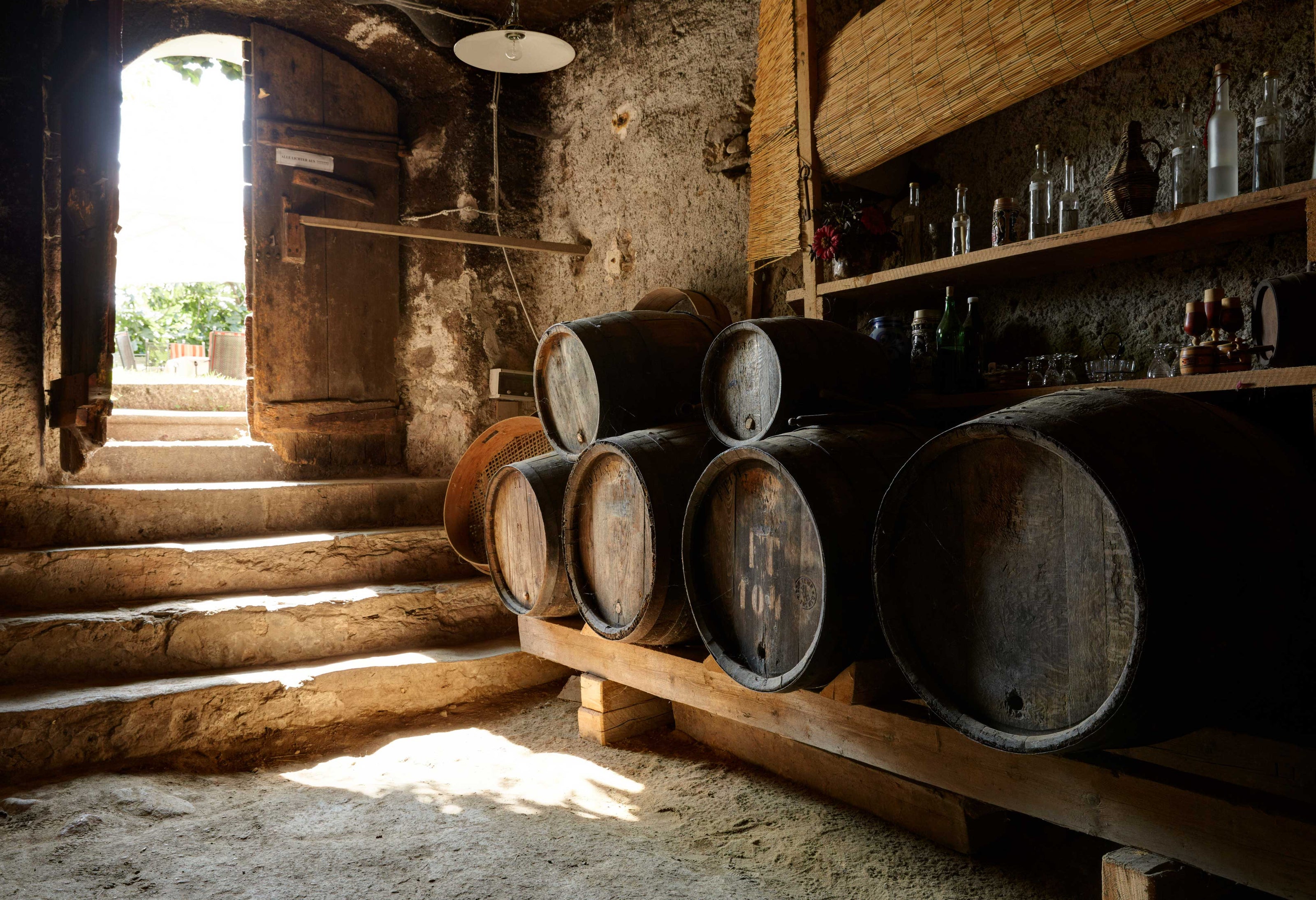Weingut Schloss Plars Ansicht Weinkeller mit Holzfässern Algund bei Meran