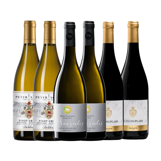 Südtiroler Frühling Nr. 2